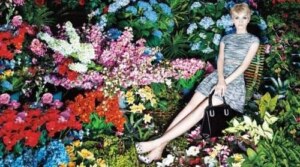 Alice + Olivia Sample Sale NYC|Alice + Olivia Sample Sale NYC