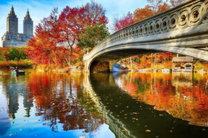 Central Park NY|Central Park Zoo Polar Bear|Central Park Loeb Boathouse|Central Park Walking Tours NYC