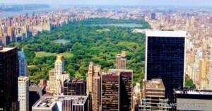 New York City Events August