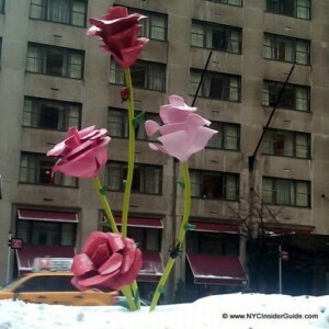 New York City Events February