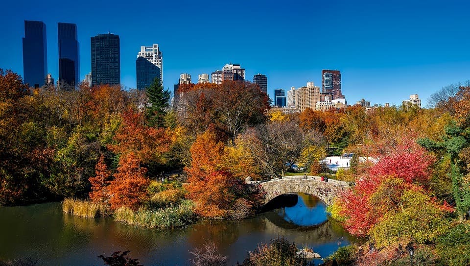 New York City Events November|New York City Events November