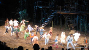 Shakespeare in the Park NYC|Shakespeare in the Park