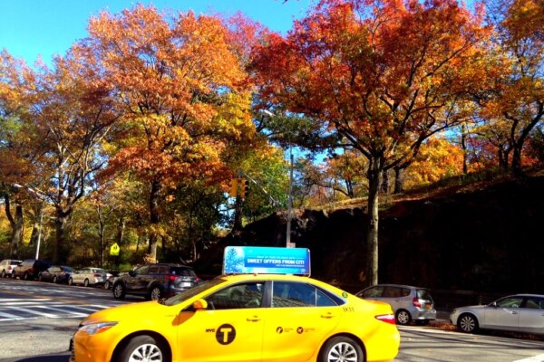 Things To Do in New York in November