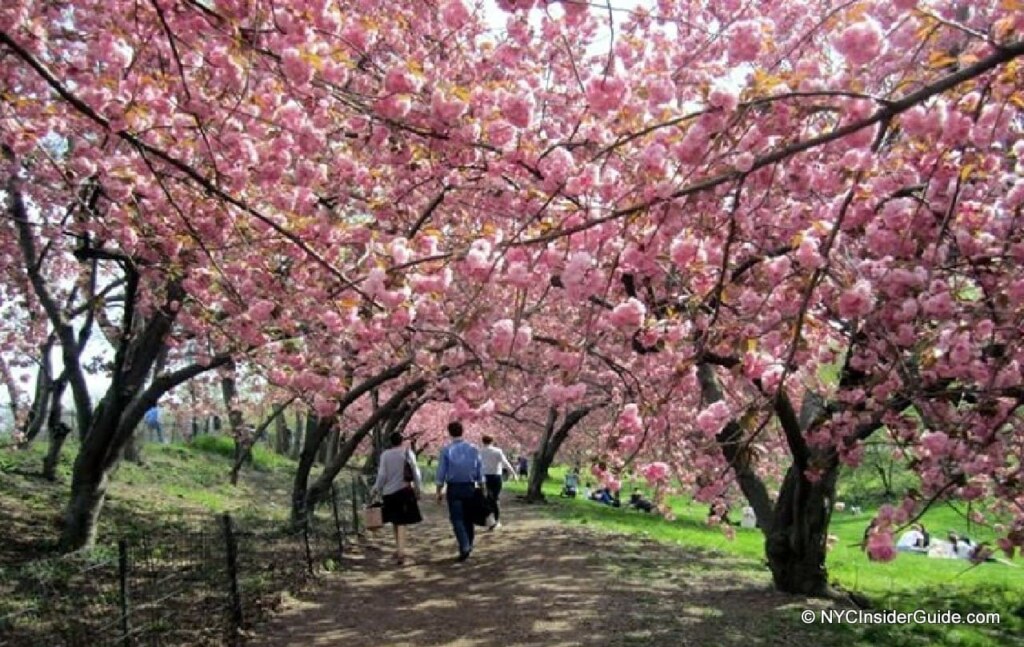 Things To Do in New York in April|Things To Do in New York in April