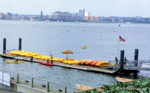 Free Things to Do in New York in Summer