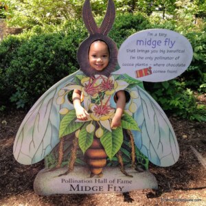 Things to Do in New York With Kids